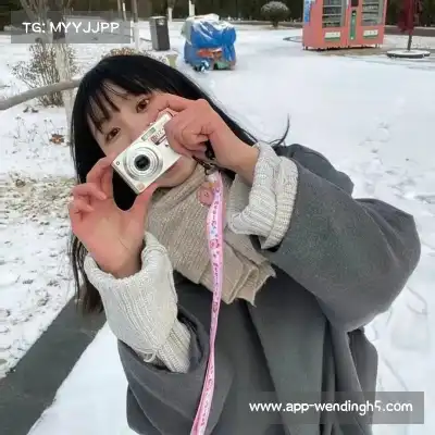 朱鹭